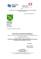 SWZ.pdf